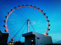 Sky-High Views: Experiencing the Singapore Flyer