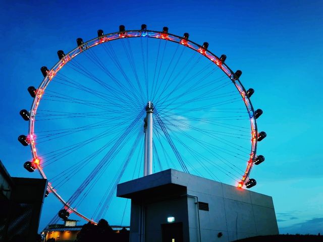 Sky-High Views: Experiencing the Singapore Flyer