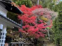 興禅寺の看雲庭と紅葉