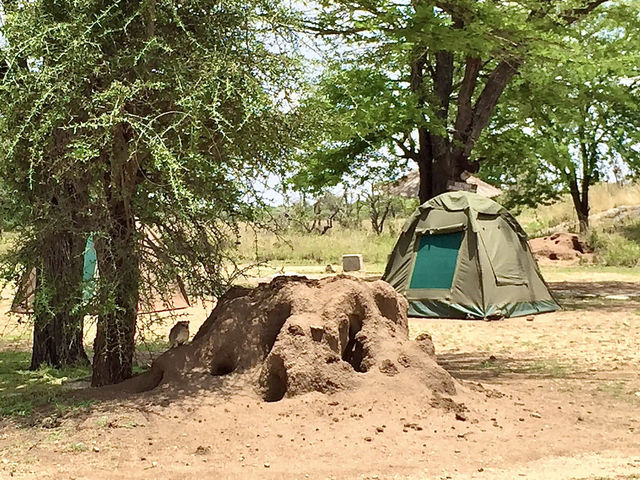Pimbi Public Campsite｜原始野趣的塞倫蓋提露營體驗