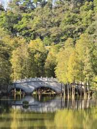 Where Nature Meets the City: Exploring Guangzhou’s Yunluo Botanical Garden