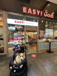 ร้านอาหารpet friendly ในห้าง Central Westville