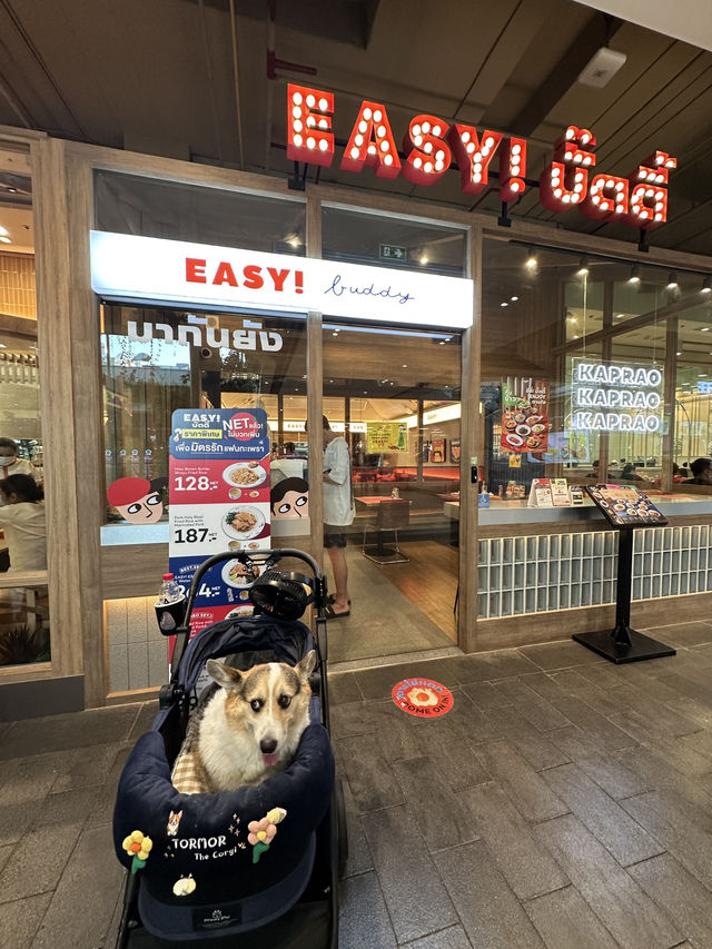 ร้านอาหารpet friendly ในห้าง Central Westville