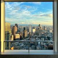 大阪地標之一💕大阪梅田空中庭院
