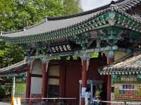 전주 남녀노소 관광지 전주동물원