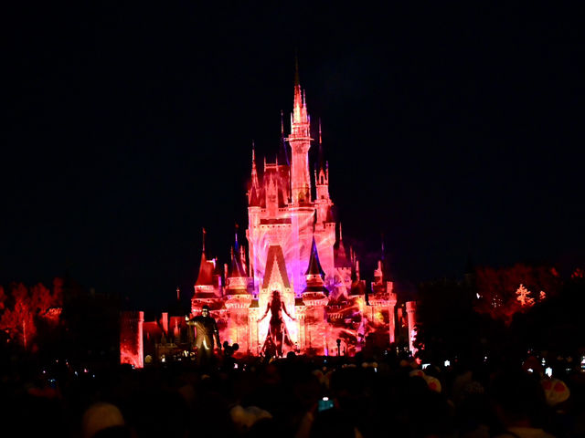 Tokyo Disney Land
