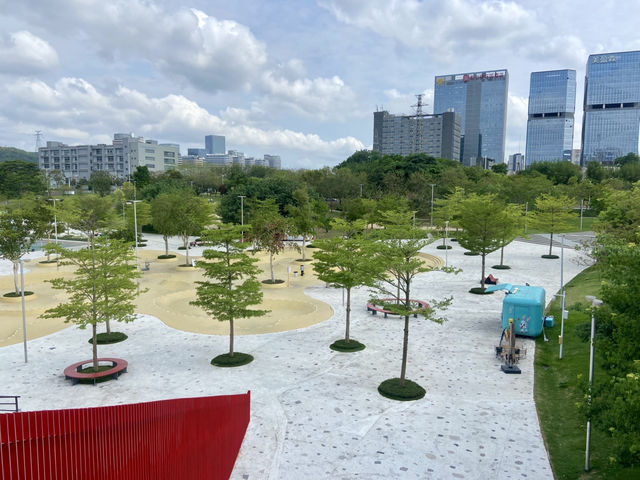 沉浸在陽光下的紅色浪漫和悠閒時光💕✨ 深圳虹橋公園🌉