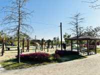 Play, Pets & Plants—Pyeongtaek Fun!