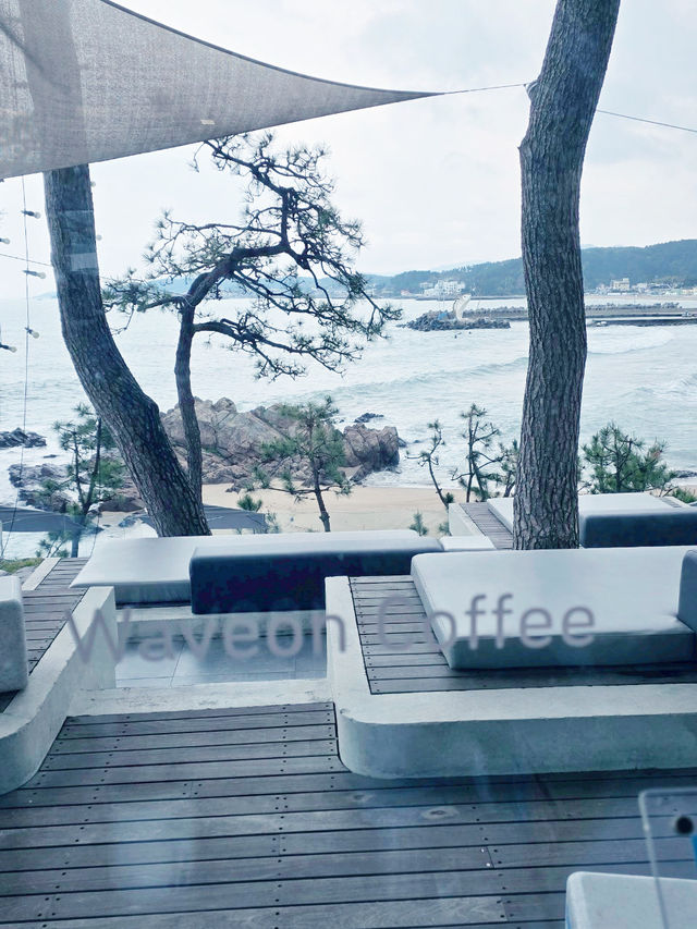 Relax at WaveOn 