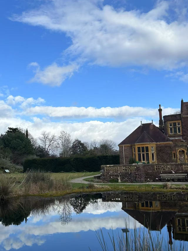 Bristol Botanic Garden | A Hidden Gem for Nature Lovers 🌿📸