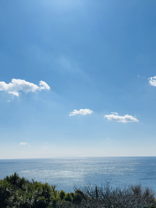 【 江ノ島観光 】 湘南の絶景を堪能🏝️✨