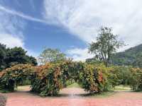 🌿 Botanic Gardens Adventure: Penang’s Green Oasis of Monkeys & Magic!  