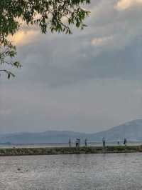 The Perfect Curve: A Springtime Pause at Dali’s Scenic S湾