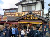 九大本線橫斷 由布院/大分/別府