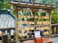 Enchanted Moments at Nikko Toshogu Shrine