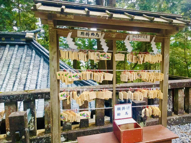Enchanted Moments at Nikko Toshogu Shrine