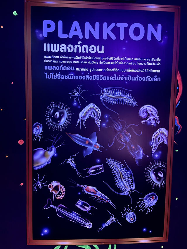 12,000 Feet Deep ณ สุดพื้นบาดาล