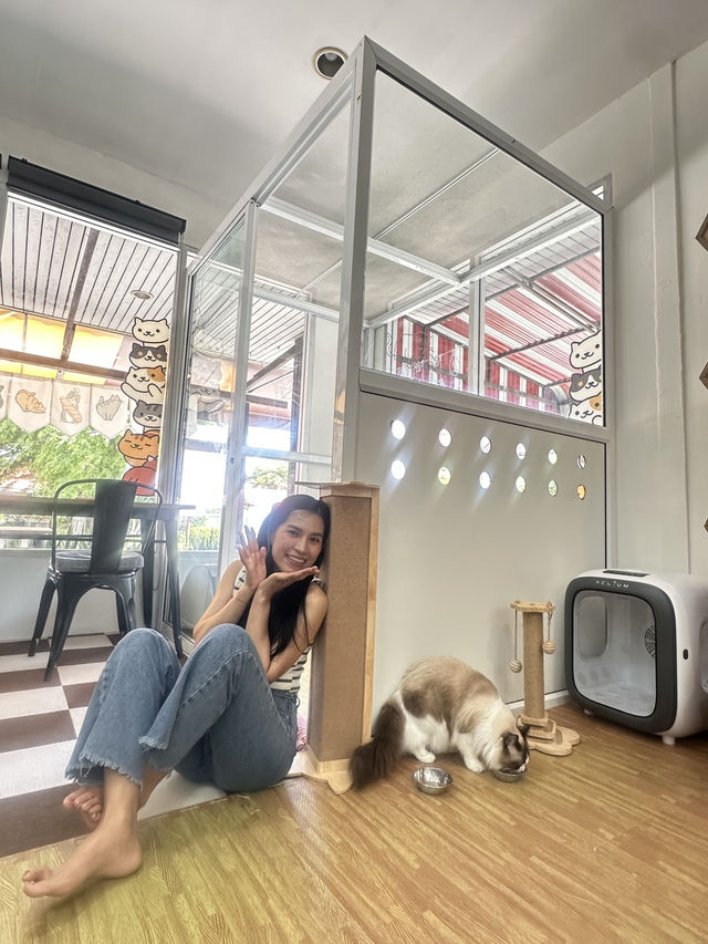 "𝘼𝙉𝙉𝘼 𝙗𝙖𝙠𝙚 𝙖𝙬𝙖𝙮" คาเฟ่ที่มีแมวเอ็นฯ🐈