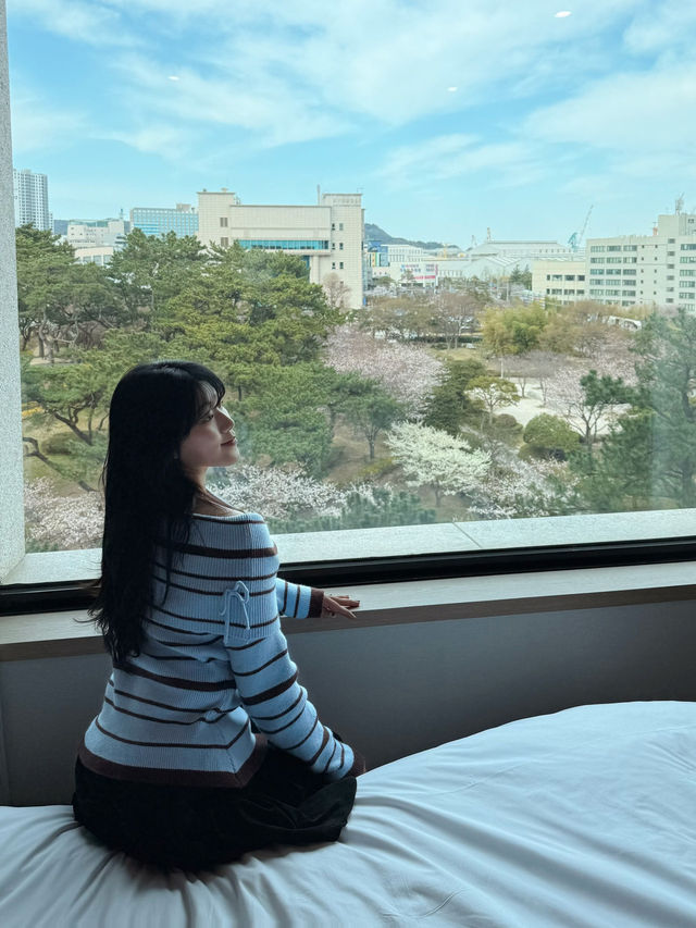라한의 봄맞이 컬러풀 라한랜드 오픈!