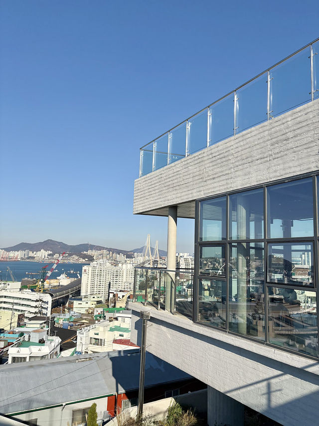 부산 영도에 새로 생긴 대형카페 🌊