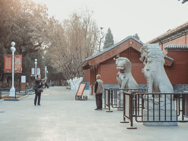 เดินเล่นทั่ว BEIJING ในฤดูใบไม้ผลิ 🌿🌸