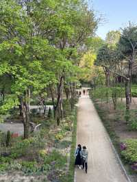 요즘 같이 푸릇푸릇한 날 가족 나들이하기 좋은 서울숲🌳