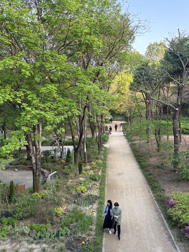 요즘 같이 푸릇푸릇한 날 가족 나들이하기 좋은 서울숲🌳
