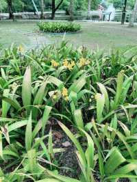 Perdana Botanical Garden: A Tranquil Urban Oasis in Kuala Lumpur