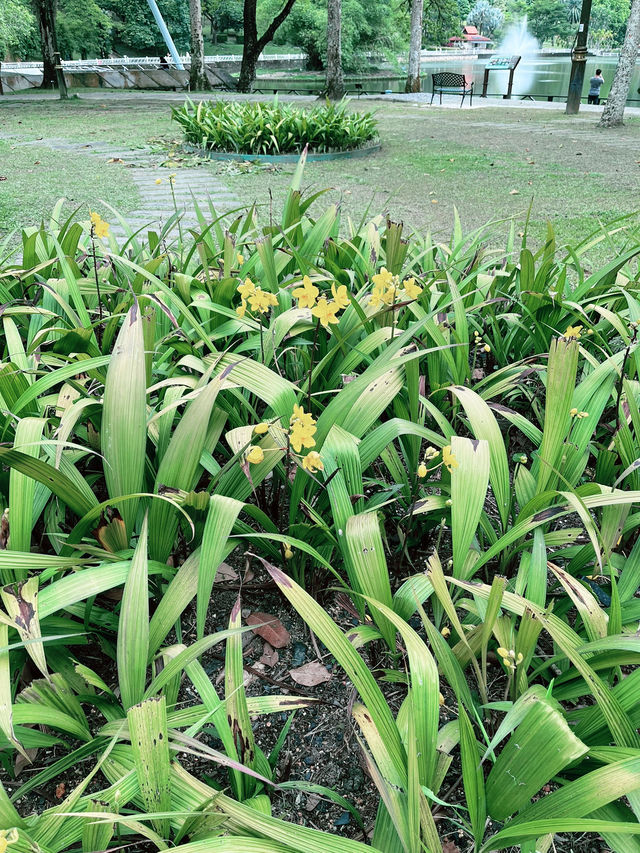Perdana Botanical Garden: A Tranquil Urban Oasis in Kuala Lumpur