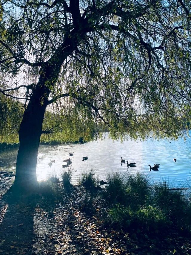 Nottingham Unveiled: Legends, Castles, and Creative Corners