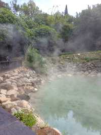 Misty Magic & Hot Spring Snacks in Taiwan
