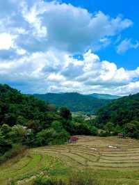 Nature’s Springtime Splash in Chiang Mai