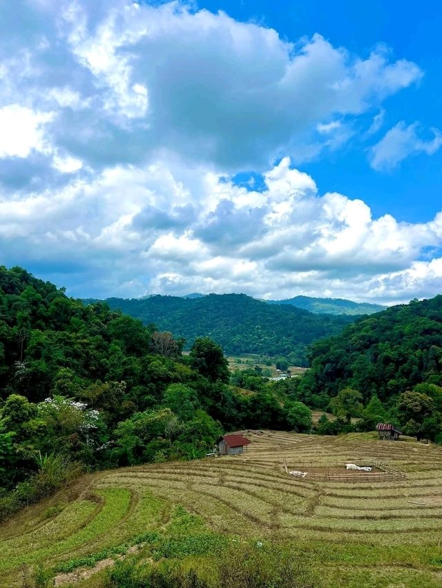 Nature’s Springtime Splash in Chiang Mai