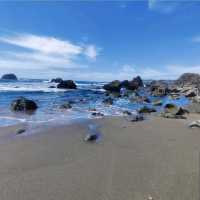 Sonoma Coast State Park – Sonoma County, CA