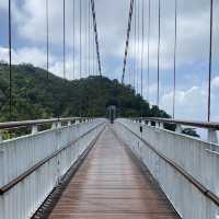 太平雲梯｜全台最高、最長的景觀吊橋 🌉