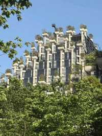 จุดถ่ายรูปสุดว้าว Tian An 1000 Trees เซี่ยงไฮ้