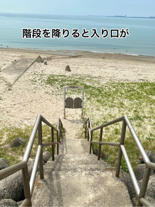 スイス人が焼く美味しいパンとブランコのある浜辺「くまのBACE」