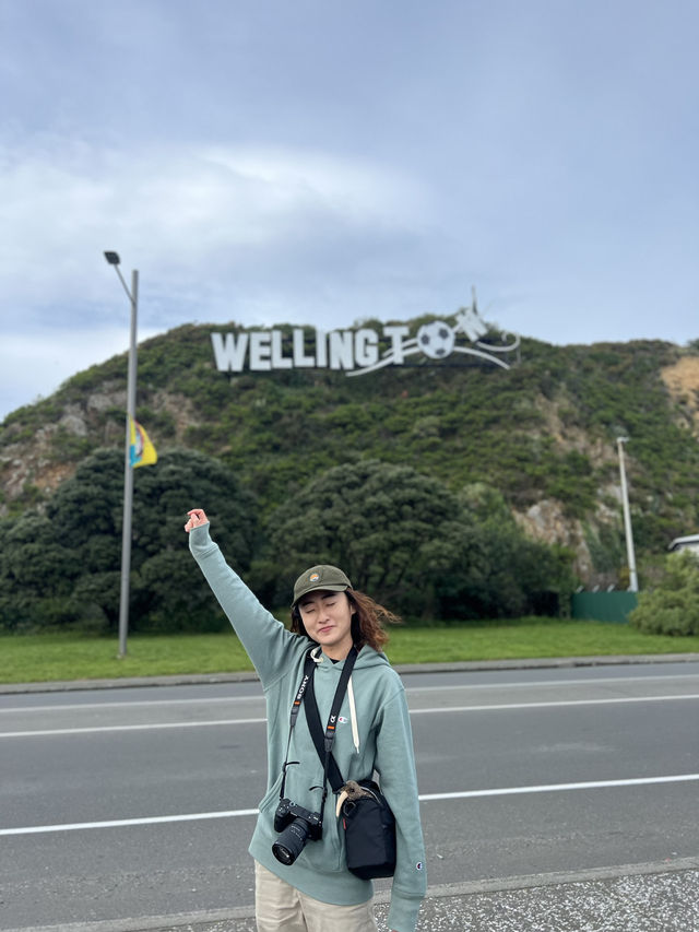 紐西蘭北島｜從少林足球踢進南太平洋｜威靈頓的告別風景
