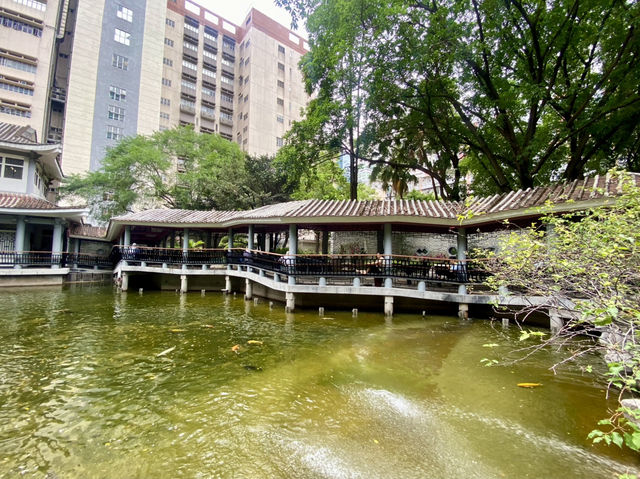 德華公園深度遊🌟 鬧市中的後花園🌷⛲️