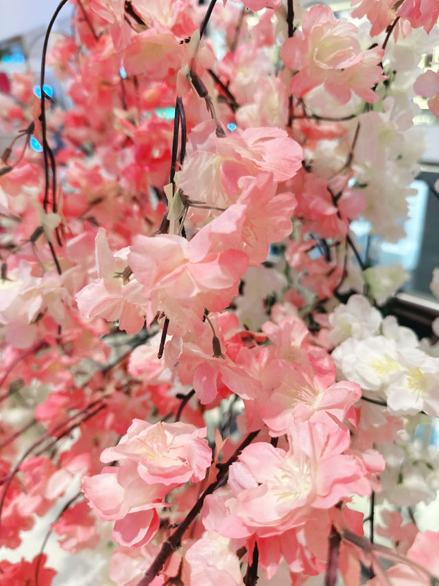 Sakura Symphony Along Shukugawa