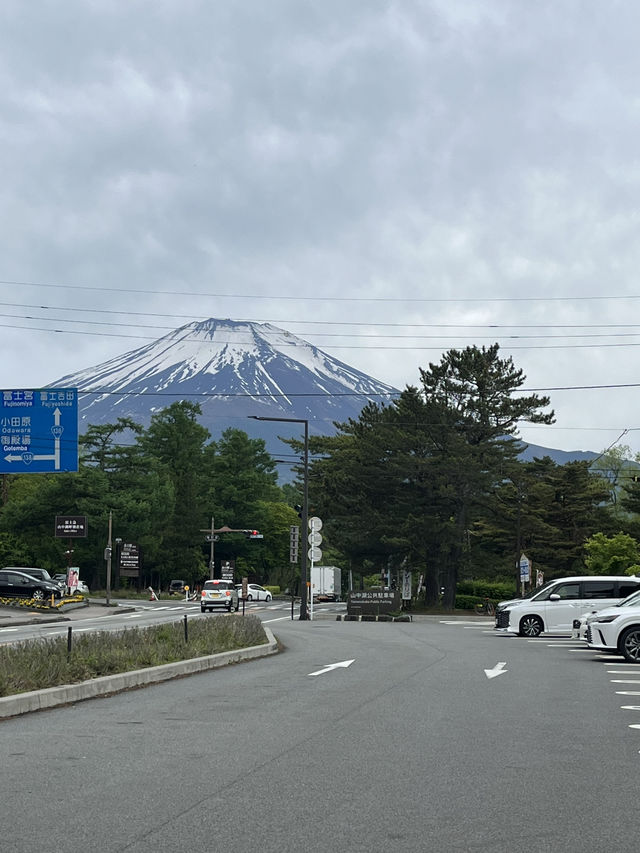 백조와 후지산을 한 눈에 담을 수 있는 호수?🦢