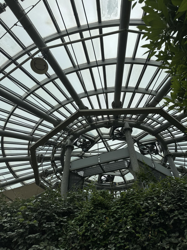 숲속 감성 가득한 생물탐구관 탐방기🌴