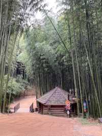 Juknokwon – Bamboo Serenity in Damyang