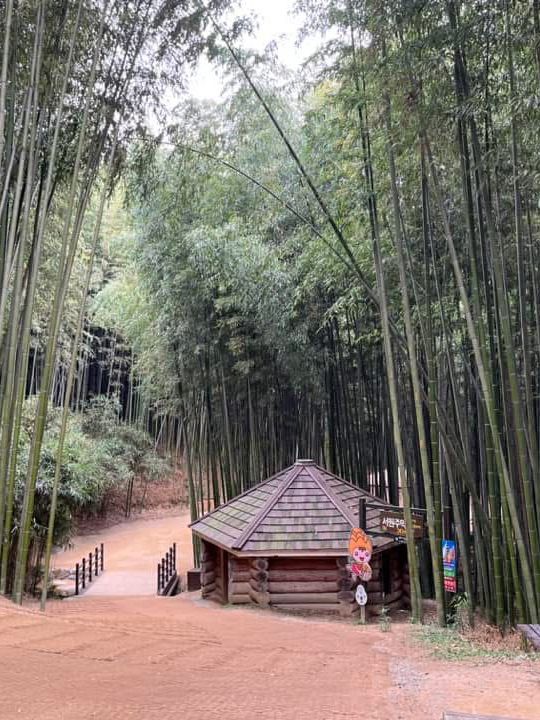 Juknokwon – Bamboo Serenity in Damyang