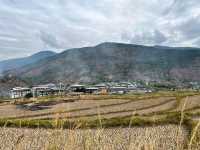 Punakha’s Fertility Temple – Where Culture Meets the Countryside