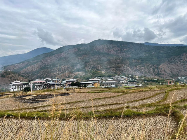 Punakha’s Fertility Temple – Where Culture Meets the Countryside