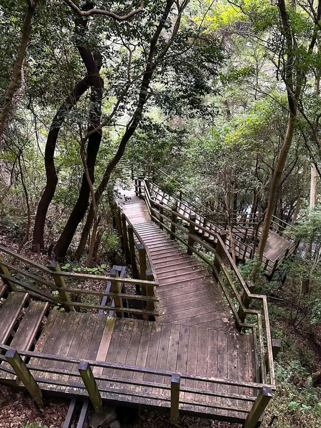 Spring’s Waterfall Wonderland