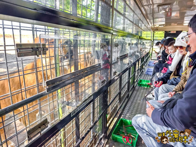 福岡 🦒🐘九州自然動物園 