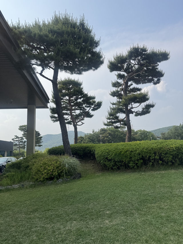 도심을 벗어나 골프에만 집중하고 싶을 때, 안성 H로! 