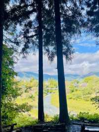 The Oide Park